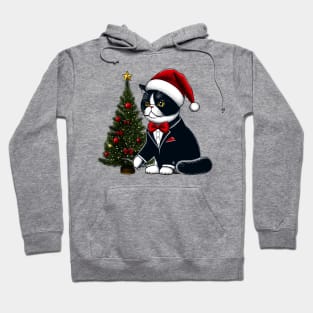 Exotic Shorthair Cat Christmas Hoodie